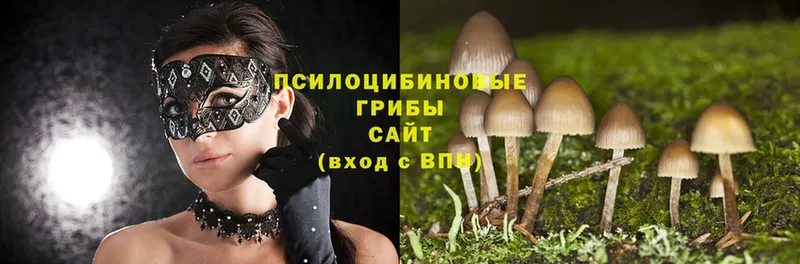 MEGA как зайти  цена наркотик  Канск  Псилоцибиновые грибы Psilocybine cubensis 